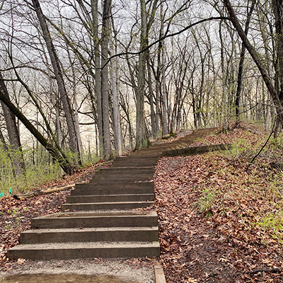 steps going up on nature trail