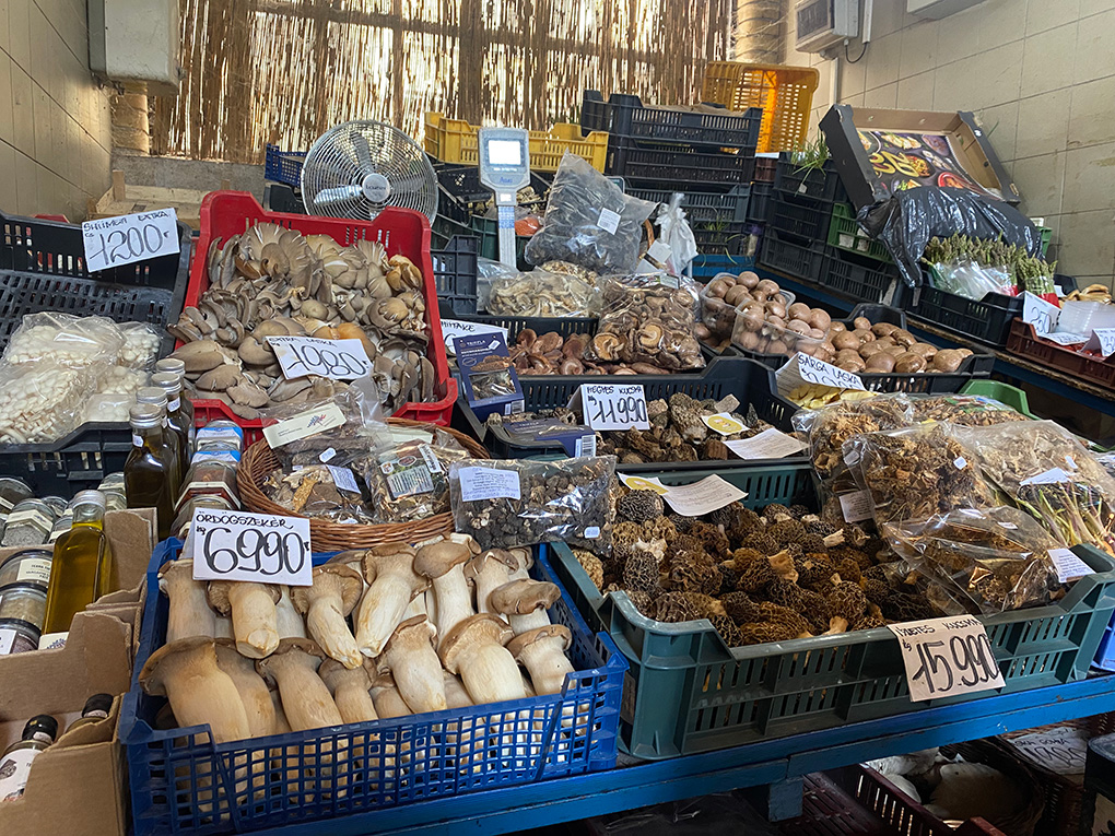 Mushrooms from Hungary