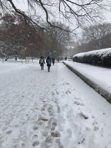 Snowy campus