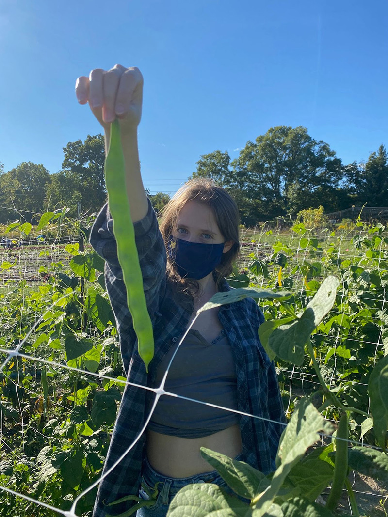 U-M Campus Farm