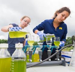 Student assisting a faculty member with lab work